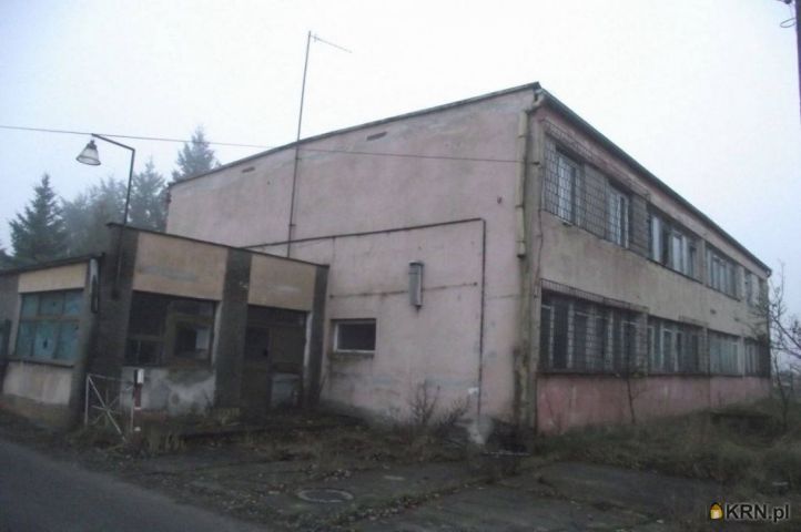 Lokal użytkowy Nowogród Bobrzański 600.00m2