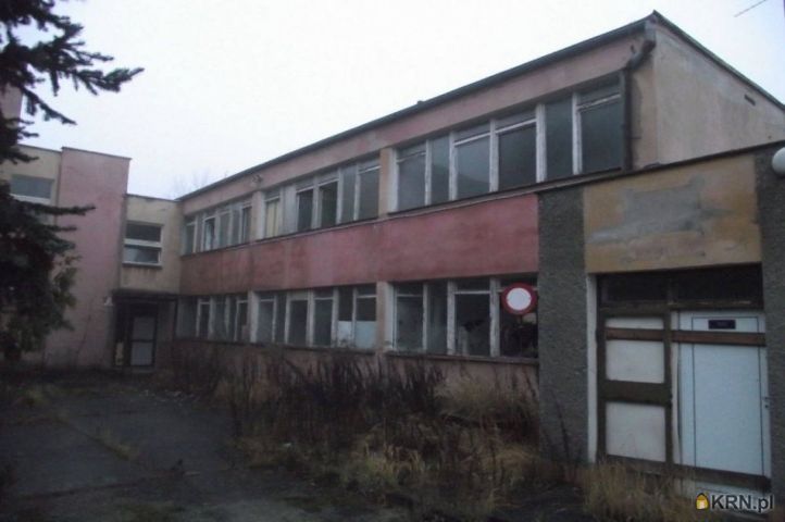 Lokal użytkowy Nowogród Bobrzański 600.00m2