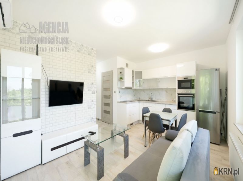 Mieszkanie Czechowice-Dziedzice 49.35m2, mieszkanie do wynajęcia