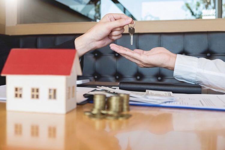 Dzierżawa nieruchomości