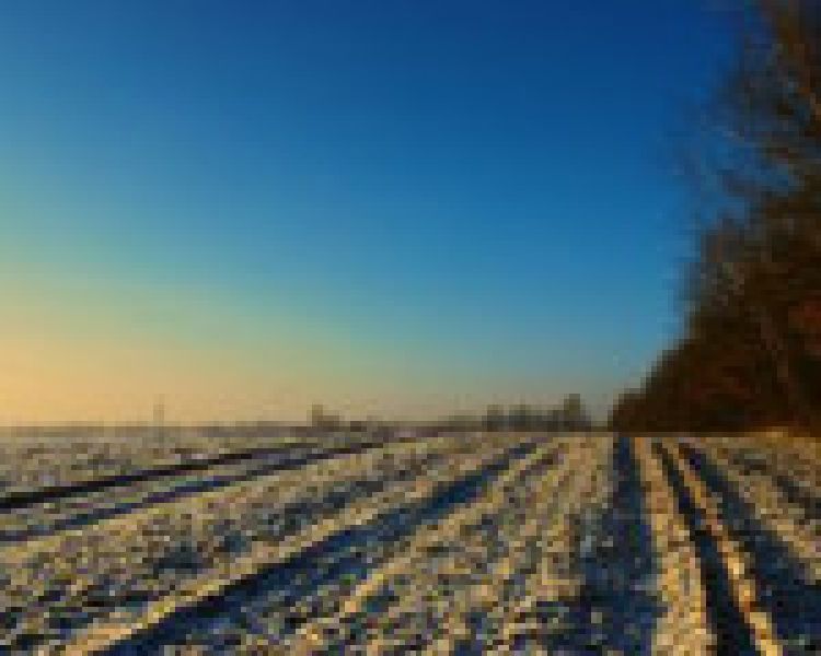 Projekt ustawy o zmianie ustawy o zagospodarowaniu wspólnot gruntowych