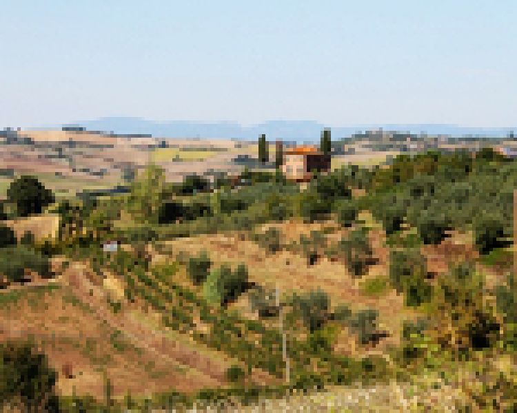 W klimacie słonecznej Toskanii