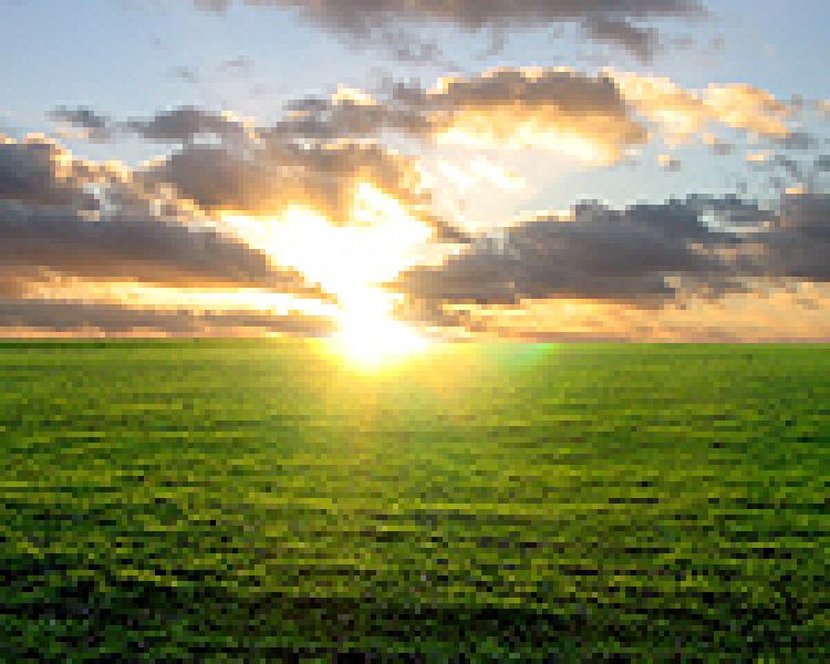 Ograniczenia w obrocie gruntami rolnymi