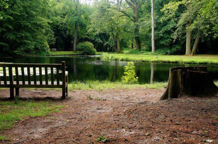 Prawo pierwokupu i odkupu gruntów leśnych