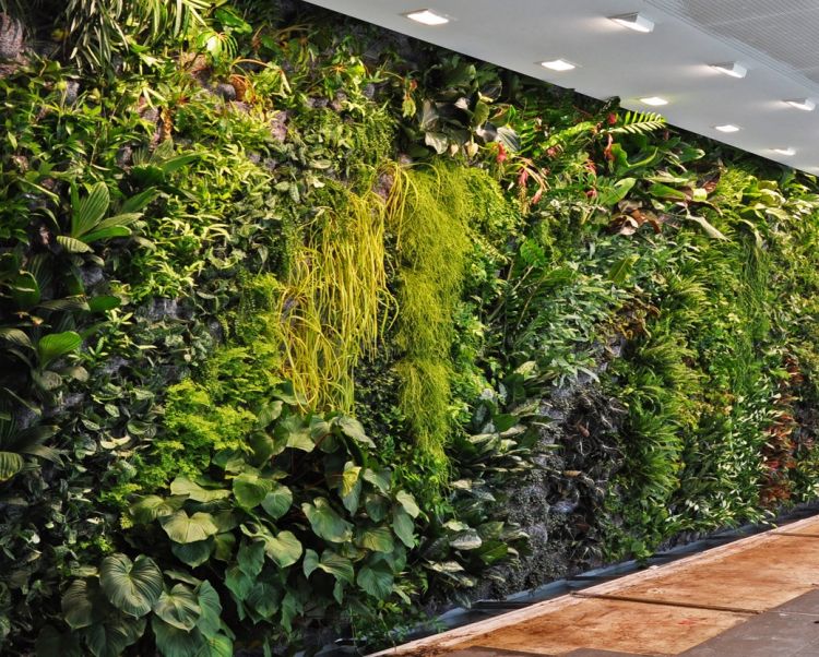 Żywa ściana w mieszkaniu