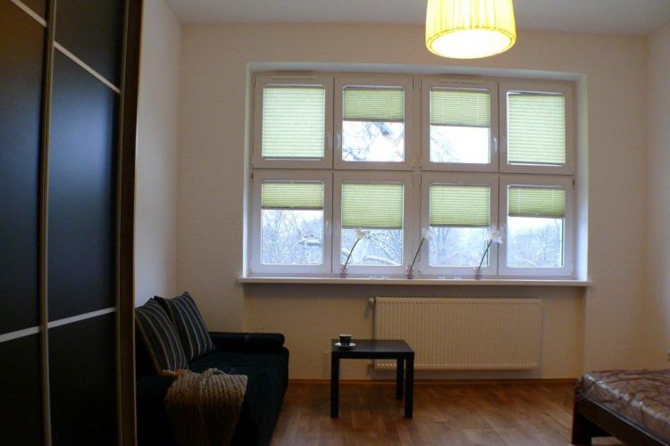 Rolety czy żaluzje?