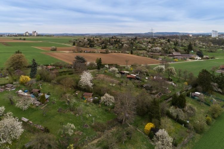 Zakup działki budowlanej