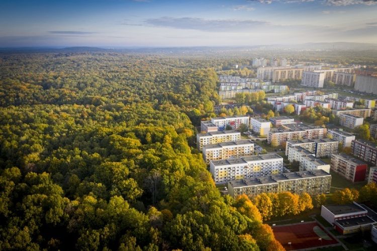 Deweloperzy we wrześniu rozpoczęli budowę 17 tys. mieszkań