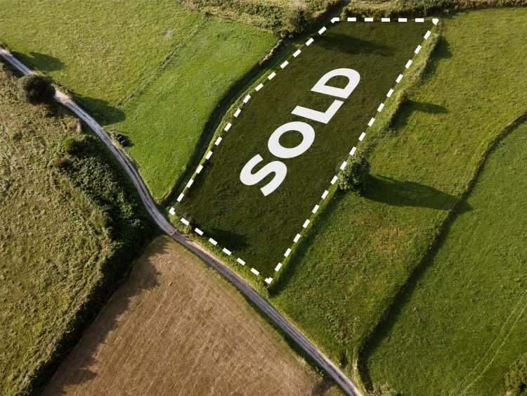 zdrozaly-nie-tylko-mieszkania-ceny-dzialek-moga-dzis-przyprawic-o-zawrot-glowy