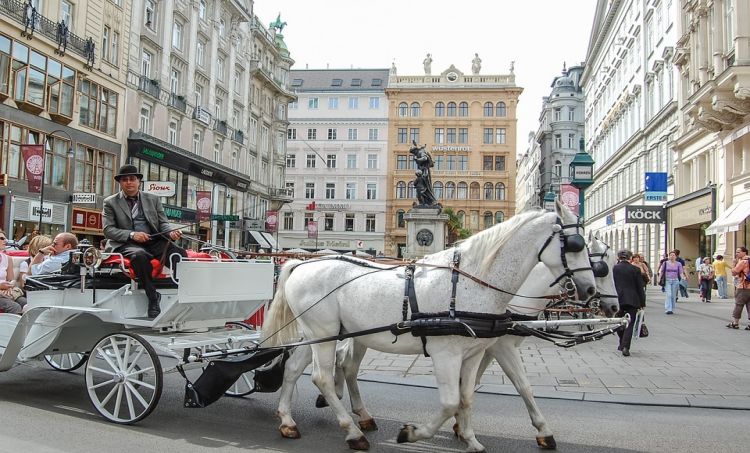 Prąd zamiast zwierząt – Wiedeń ma nietypowe rozwiązanie