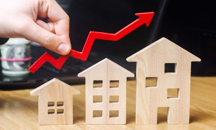 NBP: W IV kw. 2019 roku rynek mieszkaniowy pozostawał w ekspansji