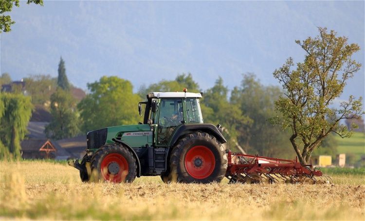 Czy inwestycja w ziemię rolną jest opłacalna?