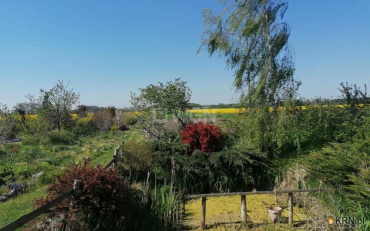 3 pokojowe, Górczyna, ul. , Dom  na sprzedaż