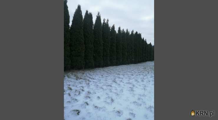 Strzelno, ul. , 6 pokojowe, Dom  na sprzedaż