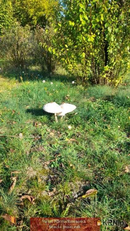 3 pokojowe, Stanowice, ul. , Dom  na sprzedaż