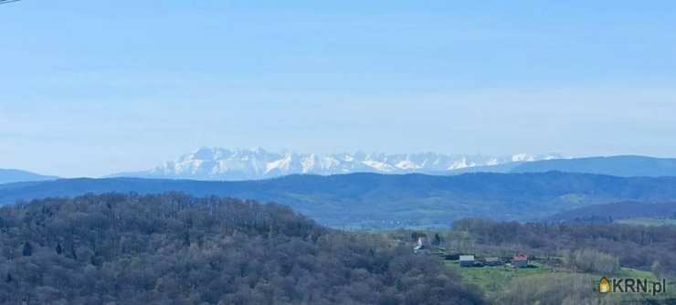 Dąbrówka Szczepanowska, ul. , 4 pokojowe, Dom  na sprzedaż