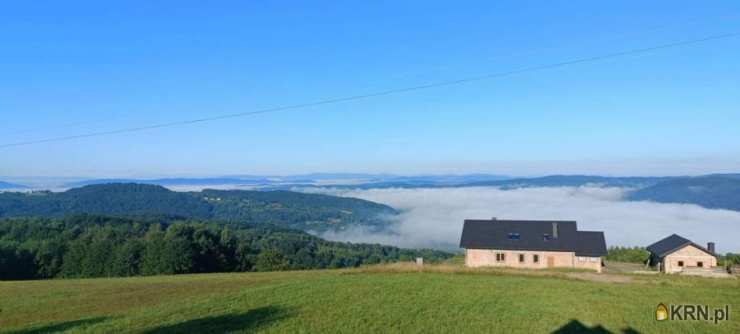 Dąbrówka Szczepanowska, ul. , Dom  na sprzedaż, 4 pokojowe