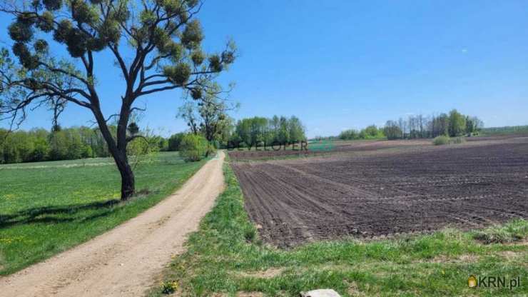 Danowo, ul. , Dom  na sprzedaż, 4 pokojowe