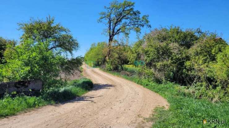 Dom  na sprzedaż, Danowo, ul. , 4 pokojowe