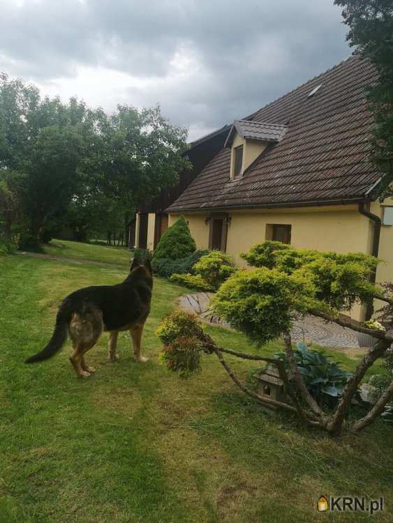 Dom  na sprzedaż, 4 pokojowe, Nowa Ruda, ul. 