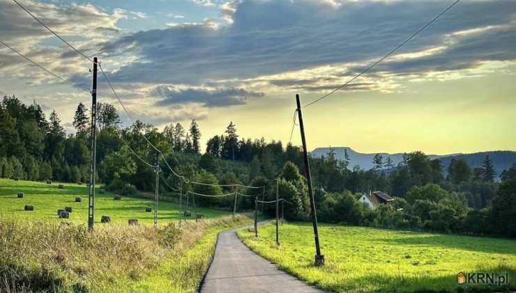 Nowa Ruda, ul. , Dom  na sprzedaż, 4 pokojowe