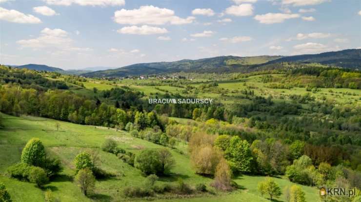 Dom  na sprzedaż, Krzeszów, ul. , 