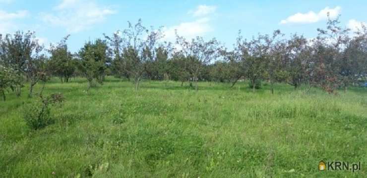 Złota, ul. , Dom  na sprzedaż, 4 pokojowe