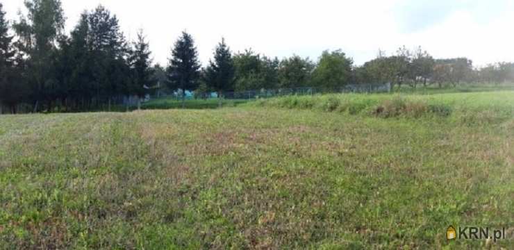 Złota, ul. , 4 pokojowe, Dom  na sprzedaż