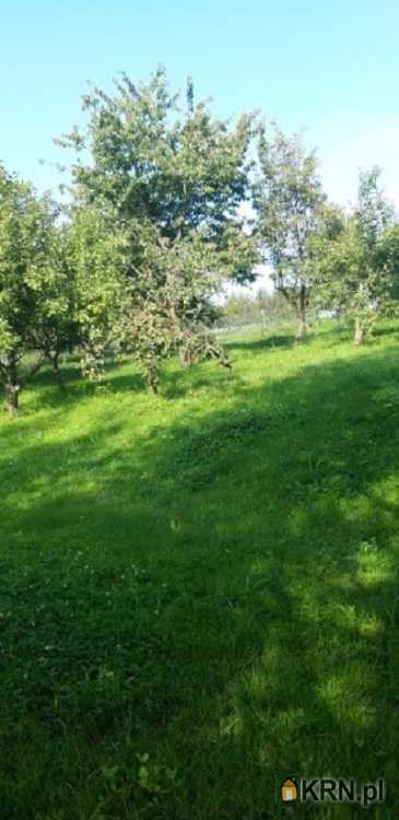 4 pokojowe, Dom  na sprzedaż, Złota, ul. 