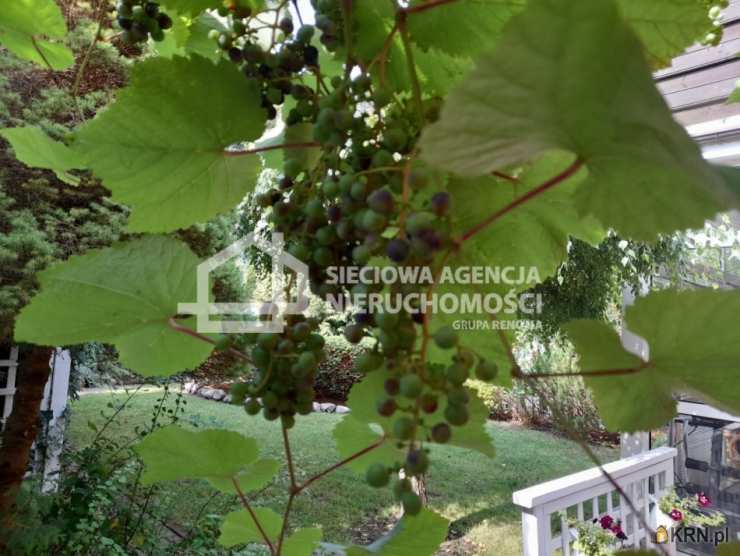 Sieciowa Agencja Nieruchomości Grupa Renoma, Dom  do wynajęcia, Gdynia, Mały Kack, ul. 