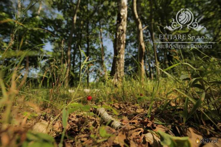 5 pokojowe, Siechnice, ul. , Dom  na sprzedaż