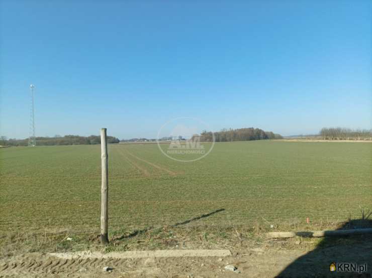 A.M.NIERUCHOMOŚCI Izabela Mateuszuk, Dom  na sprzedaż, Łozina, ul. Ogrodowa