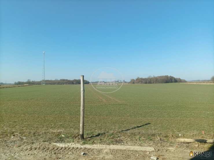 A.M.NIERUCHOMOŚCI Izabela Mateuszuk, Dom  na sprzedaż, Łozina, ul. Ogrodowa