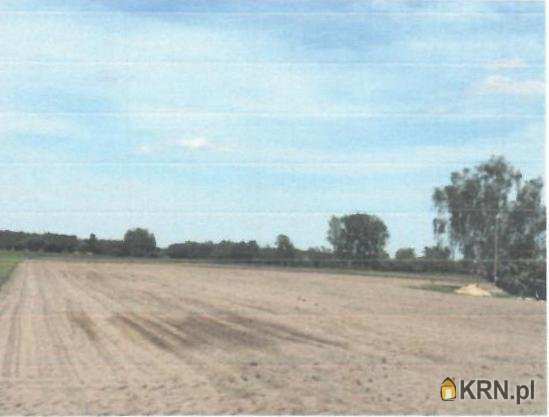 Ćmiszew Rybnowski, ul. , 3 pokojowe, Dom  na sprzedaż