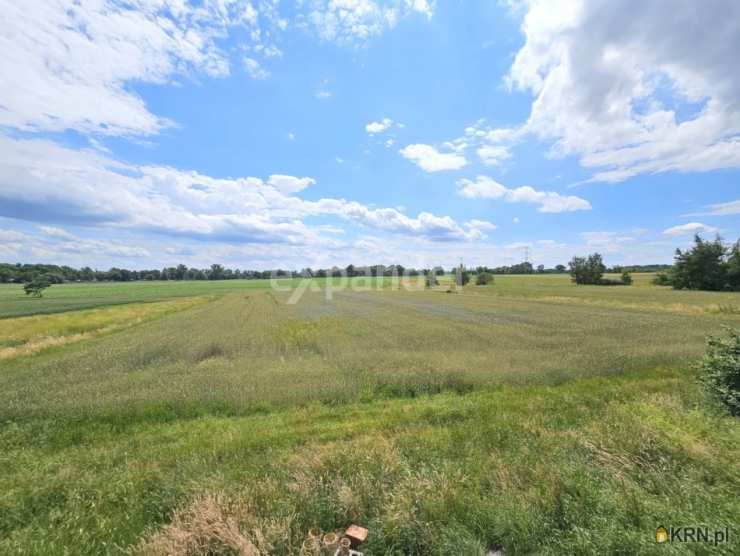 Domecko, ul. Młyńska, Dom  na sprzedaż, 5 pokojowe