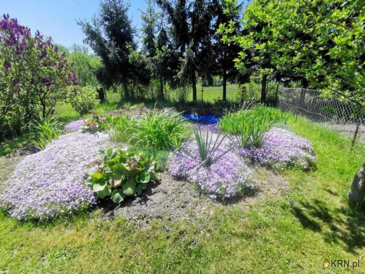 Dębrznik, ul. , 5 pokojowe, Dom  na sprzedaż