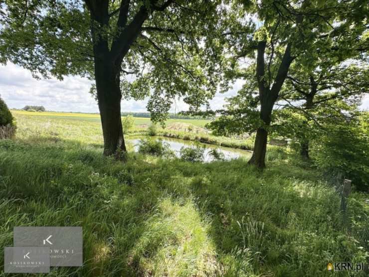 , Domaszowice, ul. , Dom  na sprzedaż