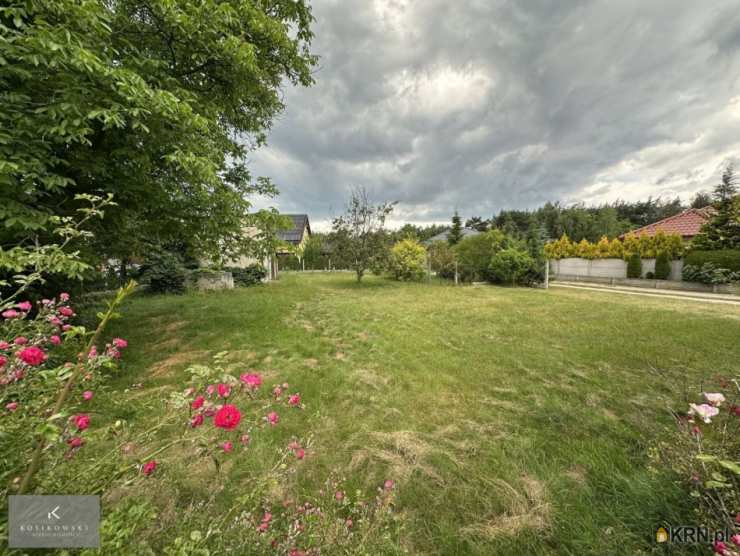 Wioska, ul. , Dom  na sprzedaż, 