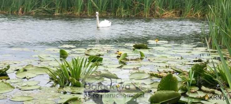 Ogrodowa Sp. z o.o., Dom  na sprzedaż, Kuligów, ul. 