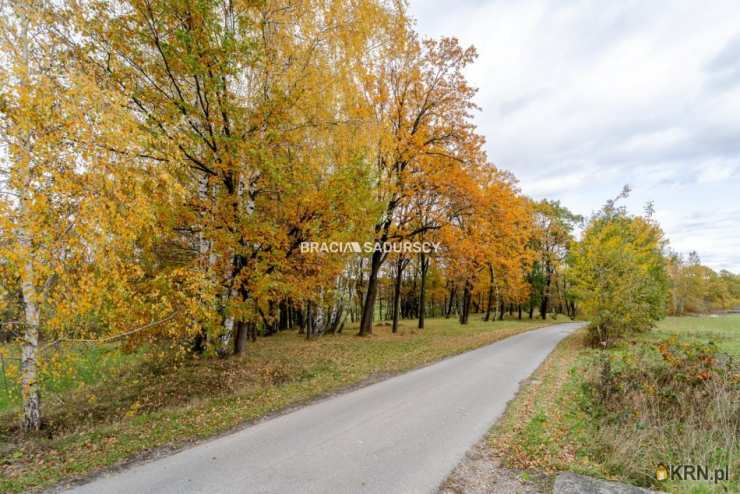 Dom  na sprzedaż, Zakliczyn, ul. , 