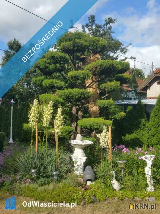 6 pokojowe, Dom  na sprzedaż, Kadyny, ul. 