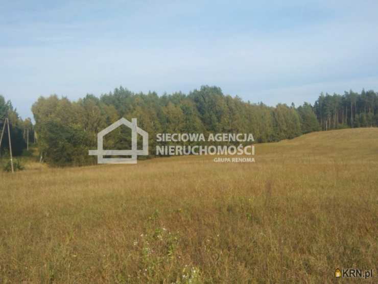 Sieciowa Agencja Nieruchomości Grupa Renoma, Dom  na sprzedaż, Zielątkowo, ul. 