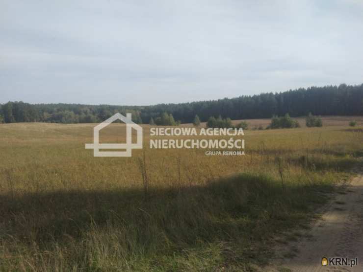 3 pokojowe, Zielątkowo, ul. , Dom  na sprzedaż