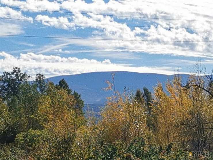 Dom  na sprzedaż, 4 pokojowe, Wojcieszyce, ul. 