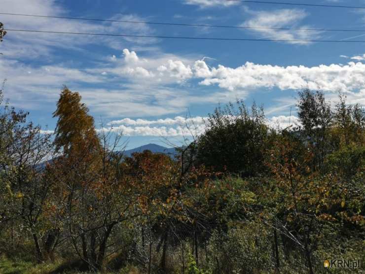 Wojcieszyce, ul. , 4 pokojowe, Dom  na sprzedaż