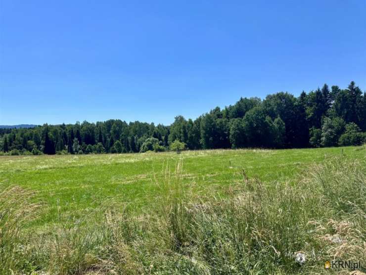 , Rabka-Zdrój, ul. , Dom  na sprzedaż