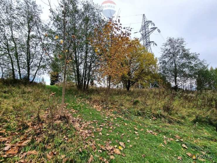 Dom  na sprzedaż, 2 pokojowe, Krościenko nad Dunajcem, ul. 