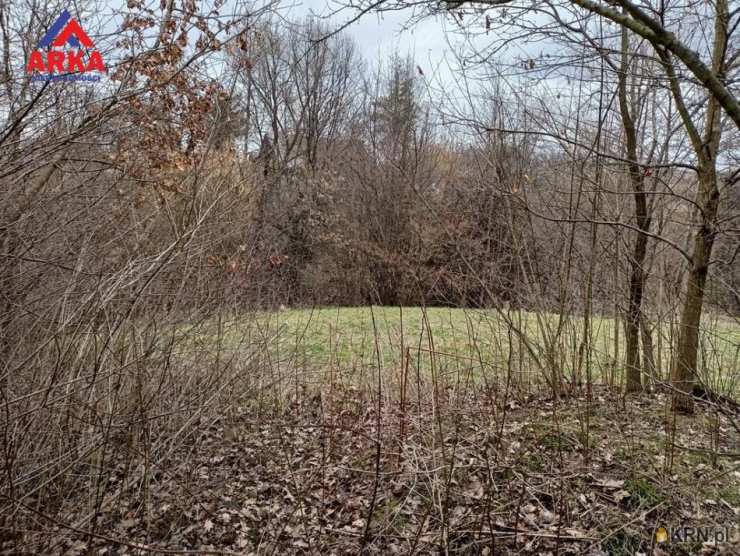 , Dom  na sprzedaż, Jodłownik, ul. 