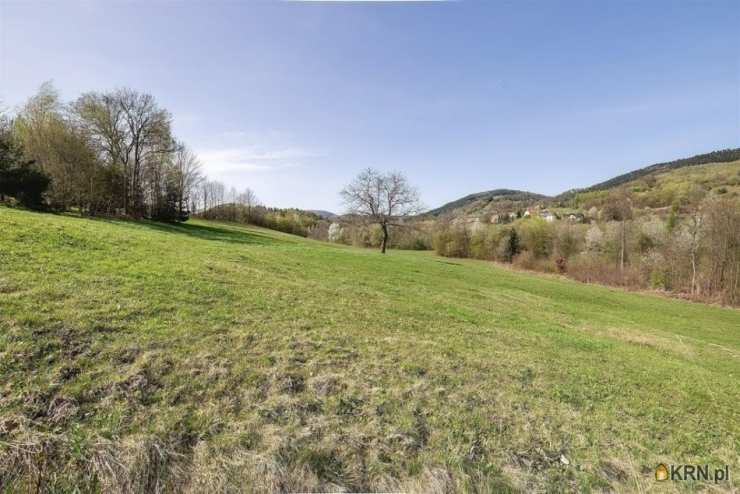 , Dom  na sprzedaż, Limanowa, ul. 