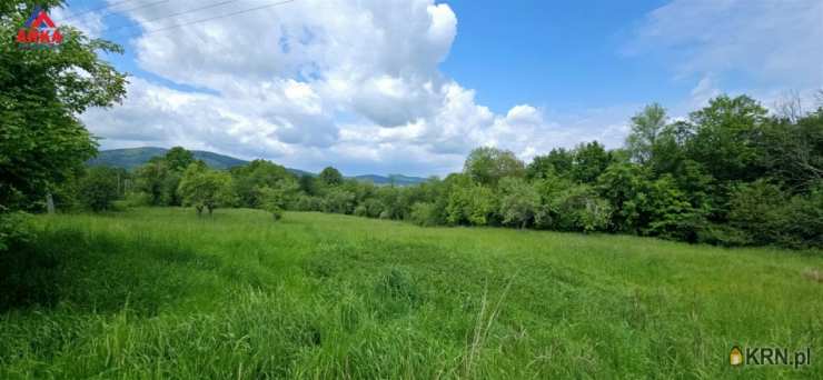 Biuro Nieruchomości ARKA, Dom  na sprzedaż, Skrzydlna, ul. 